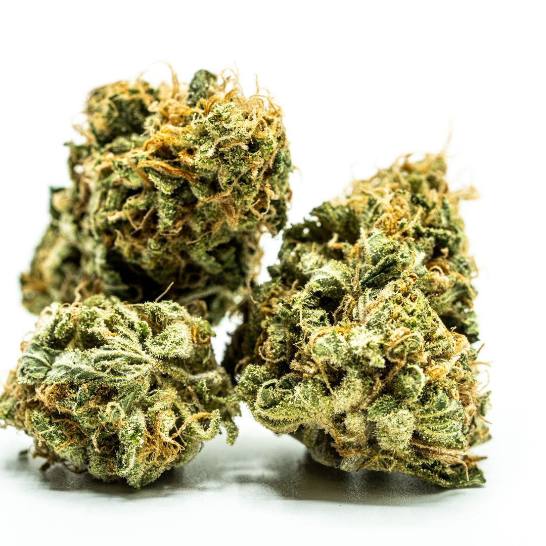 Golden Goat