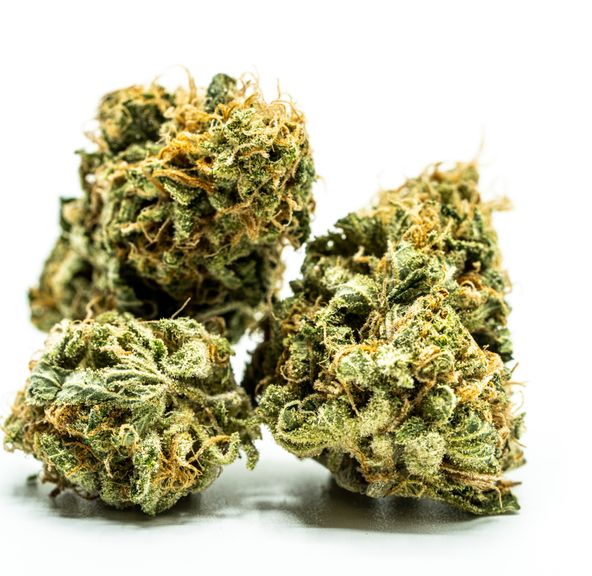 Golden Goat