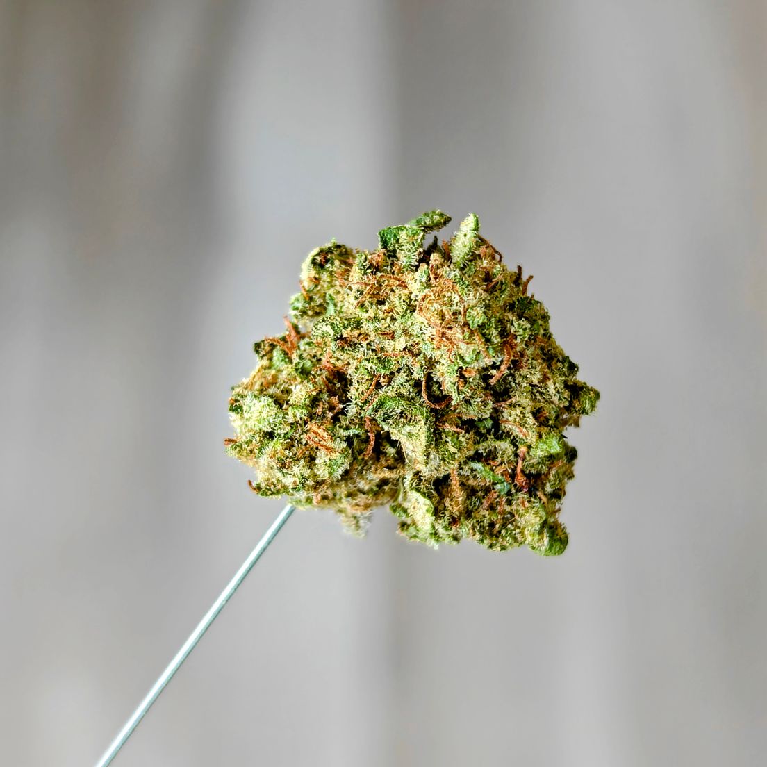 Super Sour Diesel