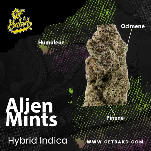Alien Mints - 3.5g Units