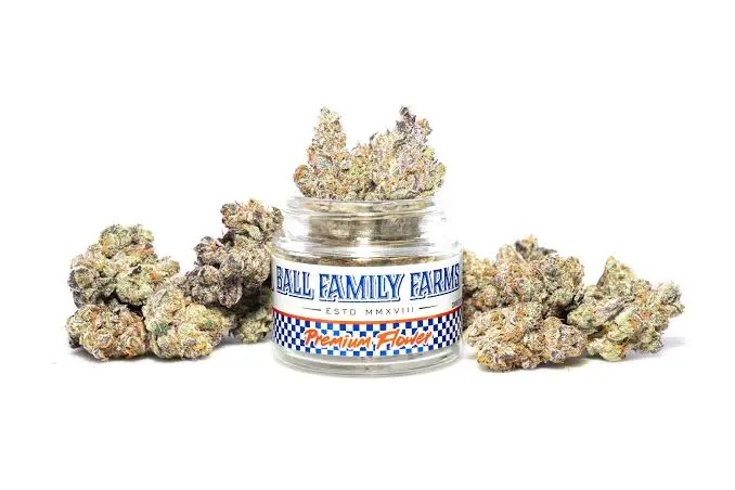 Ball Family Farms - 4g Flower (IRIS)