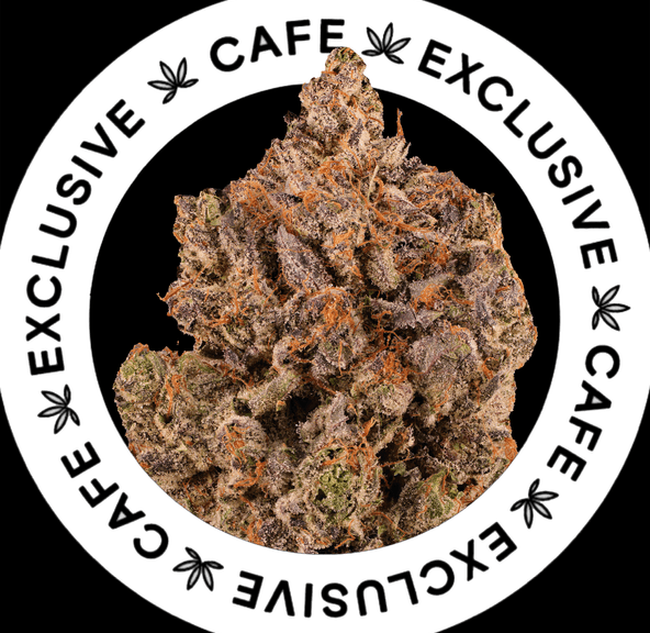 7G CAFE EXCLUSIVES- PINK VENOM
