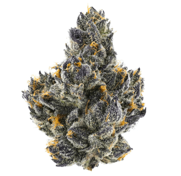 FIG FARMS- 3.5 CHERRY MARTINELLI