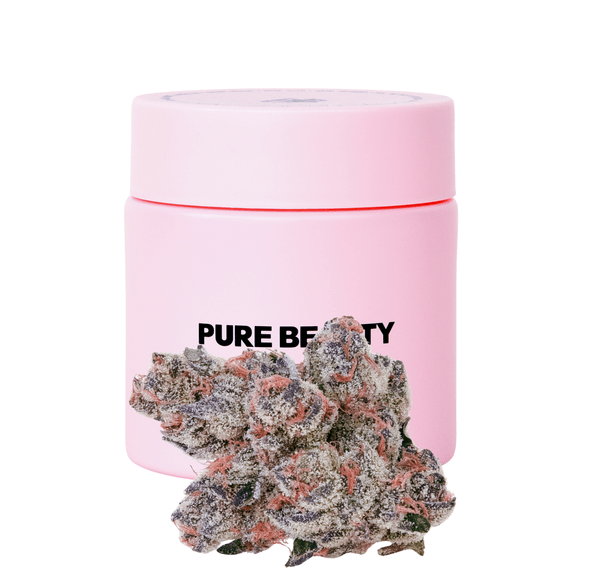 Pure Beauty | Flower | 3.5g | Canal St. Runtz