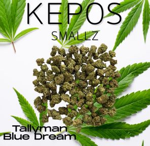 BLUE DREAM X TALLYMAN Smalls