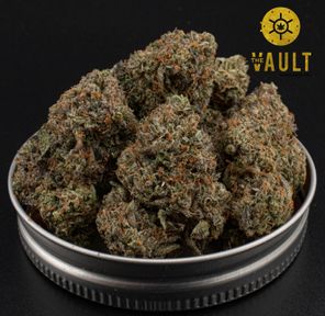 AAAA | PINK GOO ⭐️NEW ARRIVAL⭐️