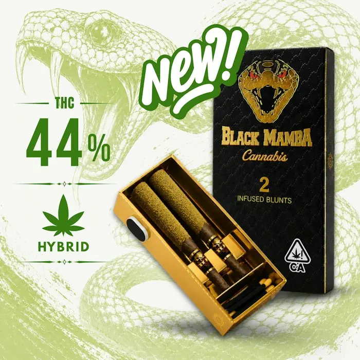 BLACK MAMBA - Gorilla #4 - 2pk x 1.2g = 2.4g, INFUSED BLUNTS!