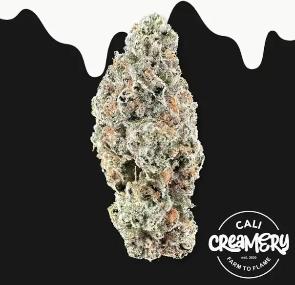 Cali Creamery - Kutthroat 3.5g