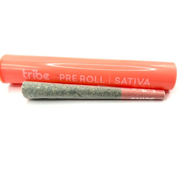 Banana Marshmallowz- Tribe- Preroll 1g-Sativa