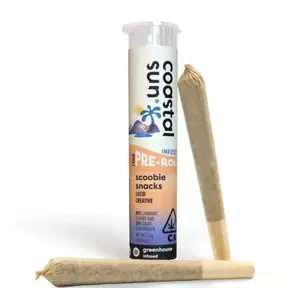 Coastal Sun - Scoobie Snacks 2pk Infused Preroll 1.5g