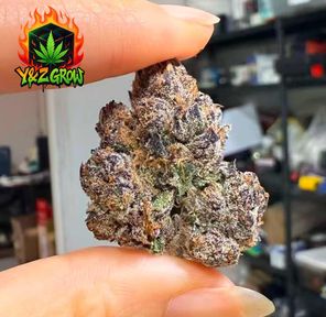 ?NEW?Blue Razz (Indica 60%) - Premium