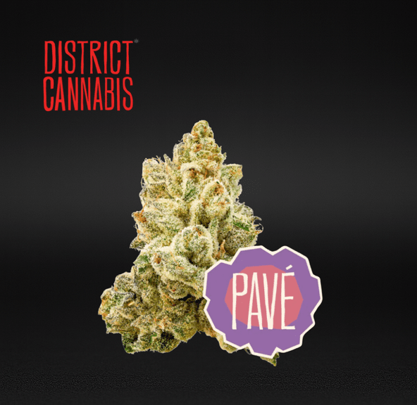 District Cannabis | Pavè - Flower | 3.5g | Sativa-Hybrid