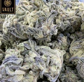 7g - PURPLE PORTAL (AAA)