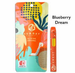 2g All In One - Distillate - Blueberry Dream