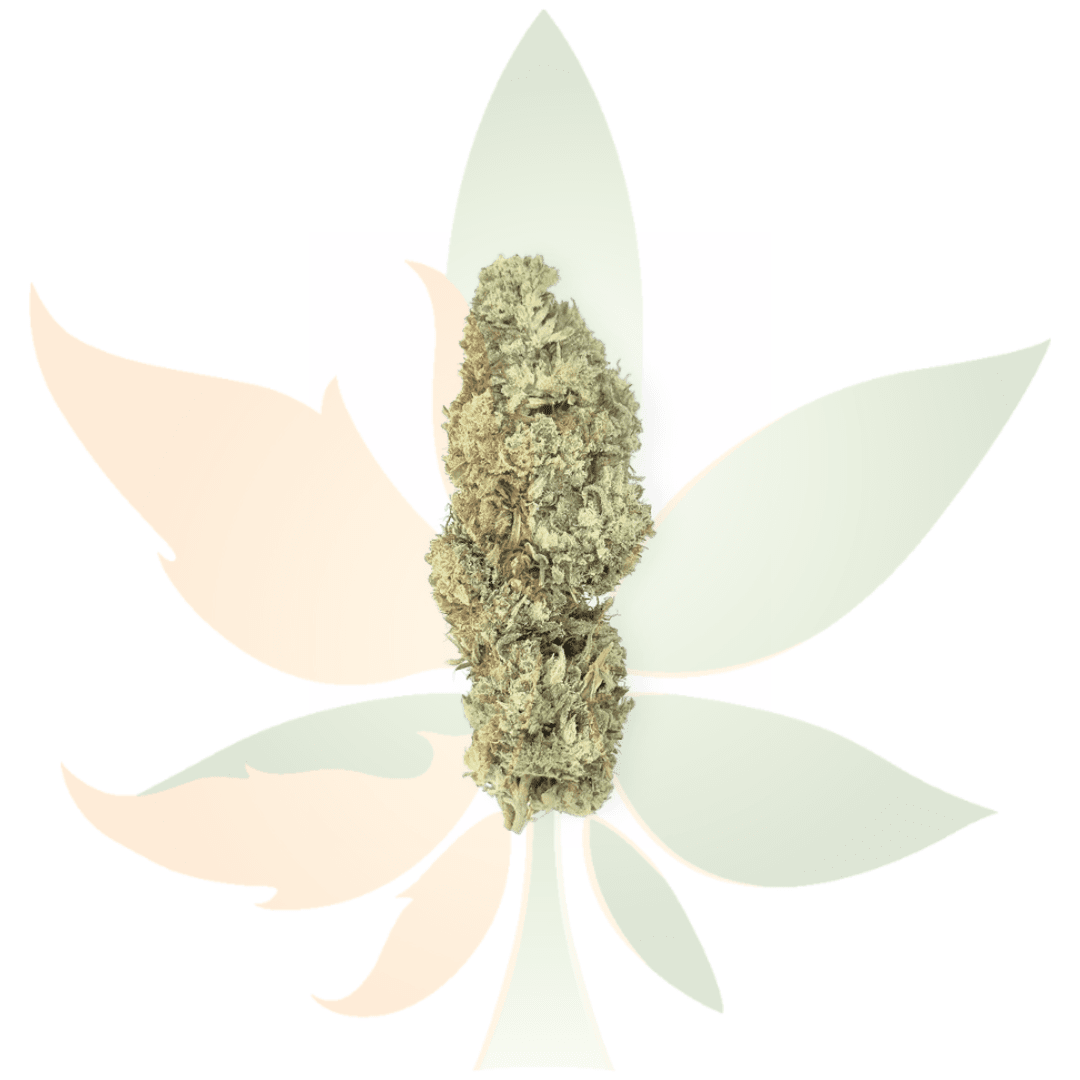 5280 X Lemon Skunk - AAAAA Star Dust Infused Flower