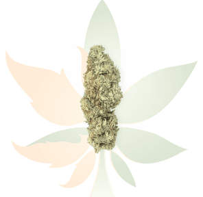 5280 X Lemon Skunk - AAAAA Star Dust Infused Flower