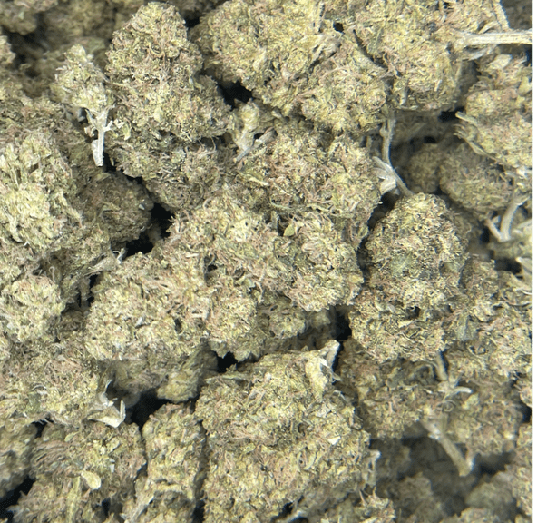 "Out of This World" Kashmir OG - 14g