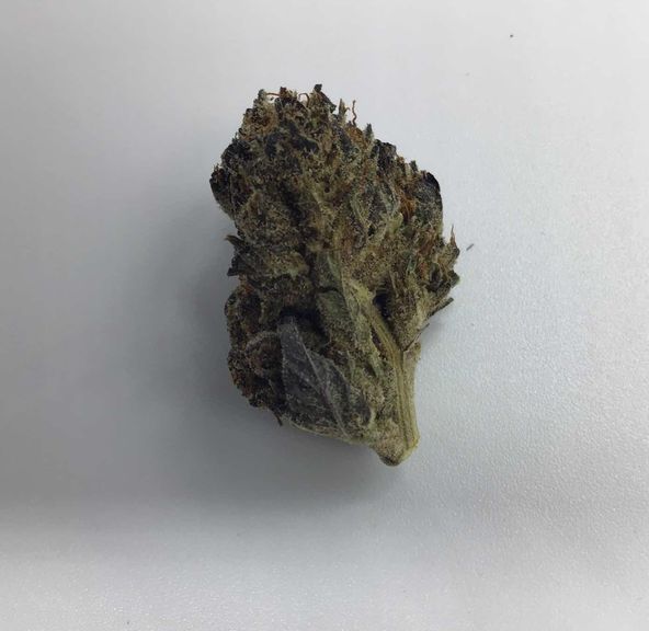 Black Gas Pink