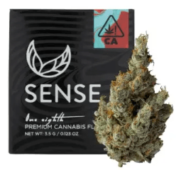 SENSE - 3.5 PIE SCREAM