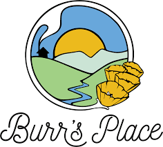 Burr's Place - 14g Flower (Orange Creampop)