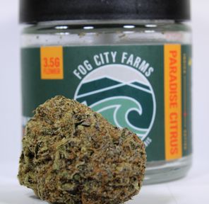 (PRE-ORDER ONLY) Paradise Citrus (25.13% THC) Fog City Farms