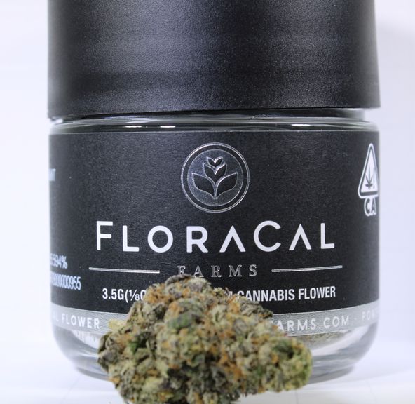 Kush Mints - 3.5g (33% THC) FloraCal