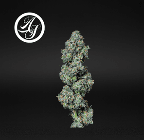 Alt Sol | Jack Herer - Flower | 3.5g | Sativa-Hybrid