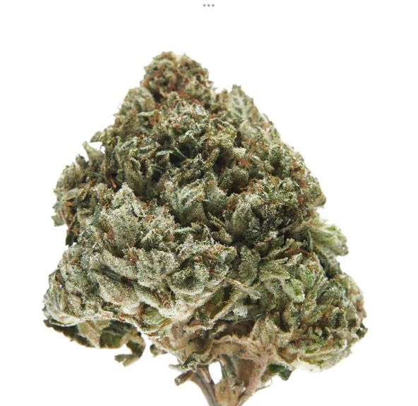 Cali Kosher - CALI KOSHER - 3.5G Gorilla Sherb 3.5g