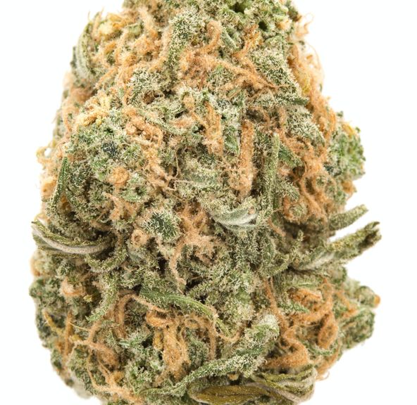 Blue Dream AAAA