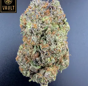 7g - SUPER GOO (AAAA+)