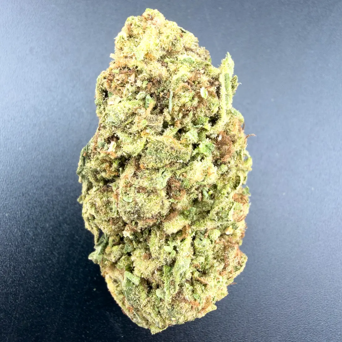 7G - DR FUNKENSTIEN (AAA+)