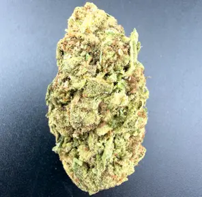 7G - DR FUNKENSTIEN (AAA+)