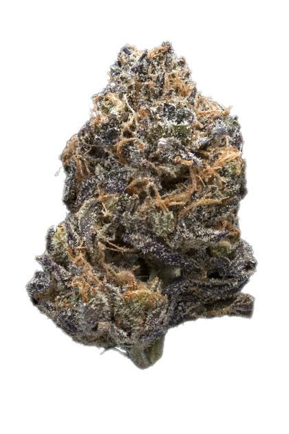Grape Skunk -- Trusty