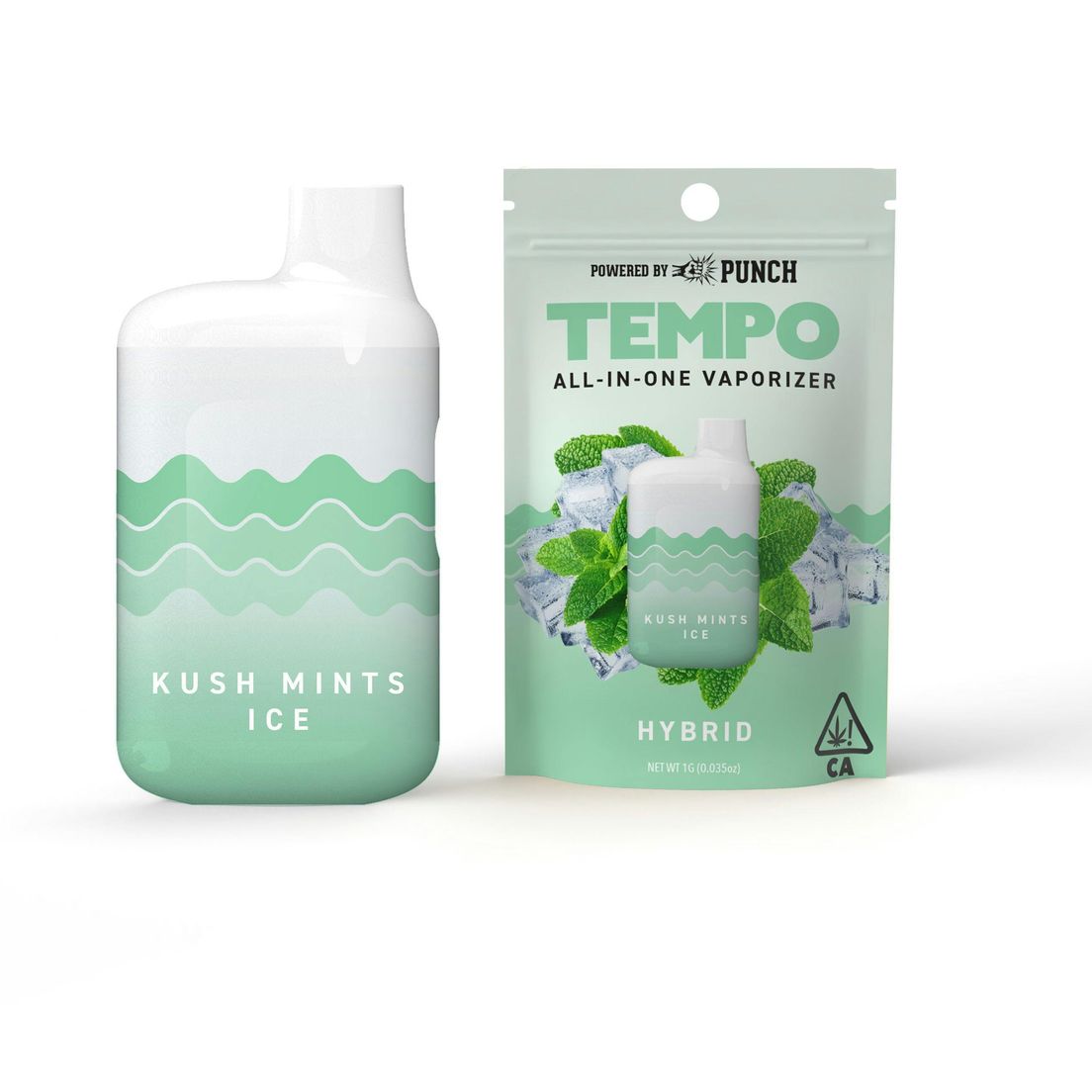 Tempo - (AIO) 1g - Kush Mints Ice