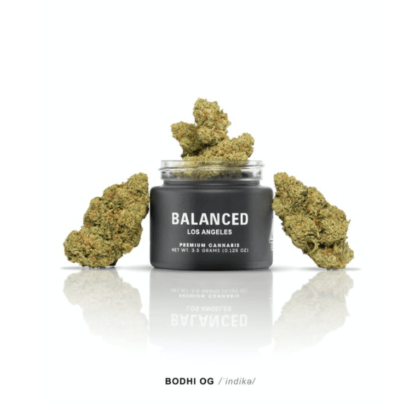 BALANCED - 3.5G BODHI OG