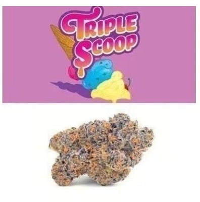 Cookies Triple Scoop Tub 3.5g