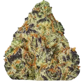 818 Brands - Garlicane - 3.5g