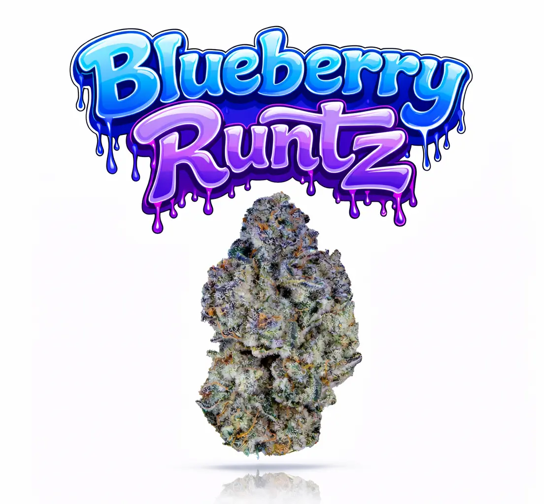 BLUEBERRY RUNTZ - 14G | INDOOR FLOWER