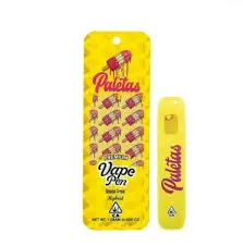 PALETAS - Mango Rush - AIO - 1G