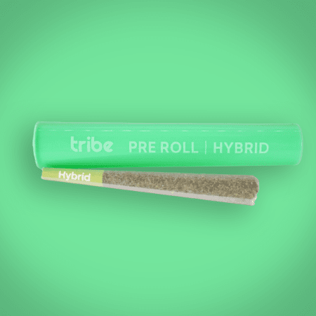 Aqua Fresca - Hybrid - Flower Pre Roll