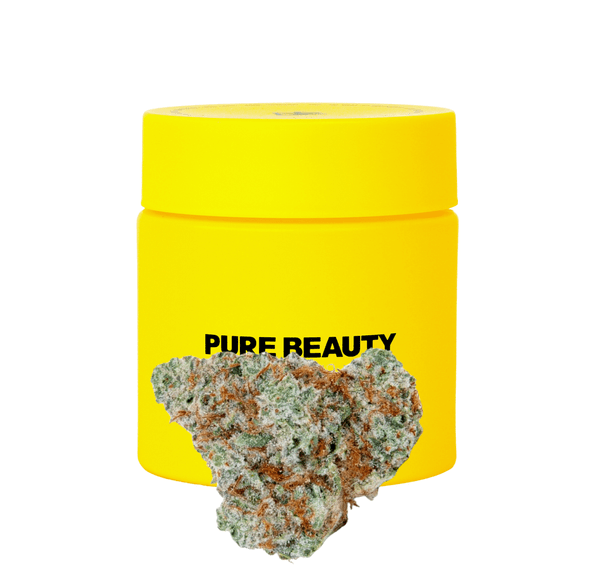 Pure Beauty | Flower | 3.5g | Spanish Lime Haze