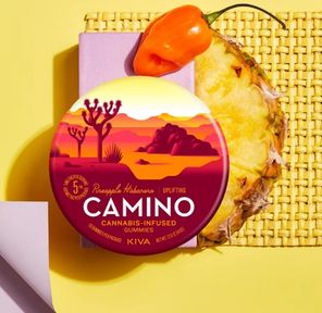 Camino Pineapple Habanero Gummies