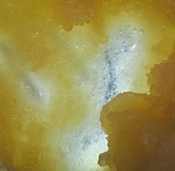 Dissolv - Dabs - GMO - 1g