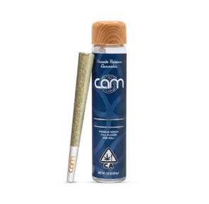 CAM Preroll Sunday Brunch $10