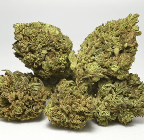 CAC 3.5G- AMNESIA HAZE