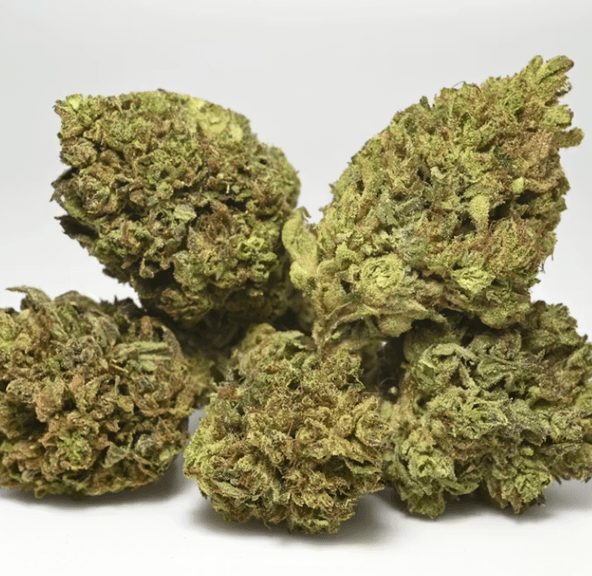 CAC 3.5G- AMNESIA HAZE