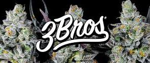 3Bros - Little Buddies Bag - PAIGOW - 7g