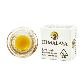 Himalaya - 1g Live Resin (Apple Tartz)