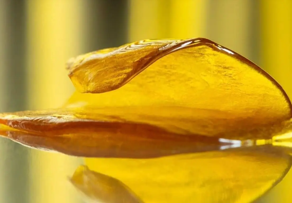 Kings Garden: 33 Bananas Live Shatter (1g)