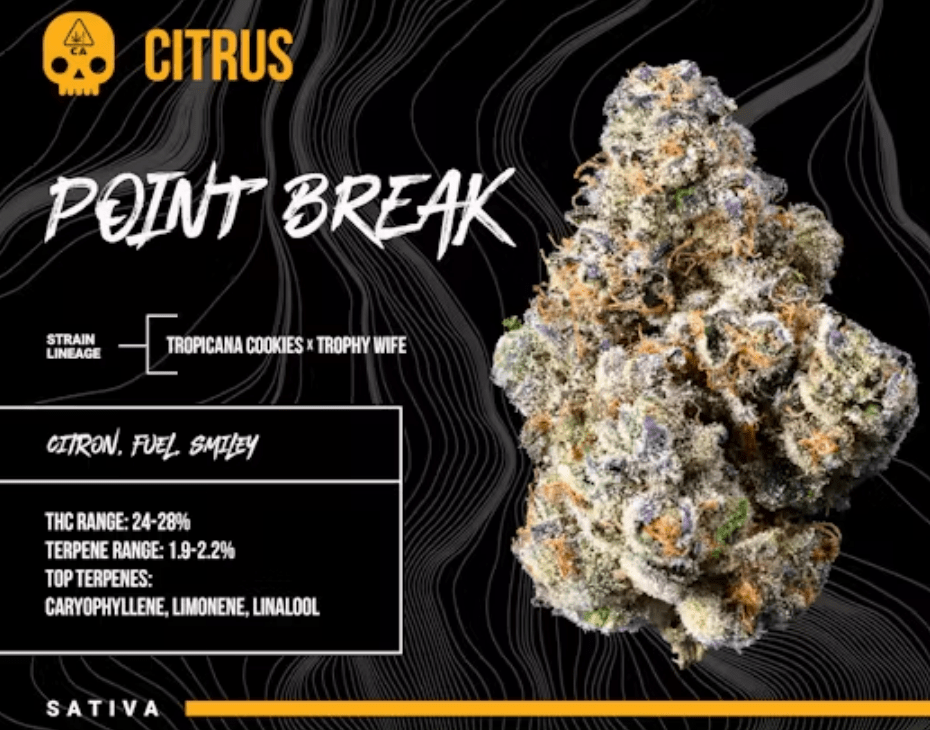 BOSKY- 3.5 POINT BREAK